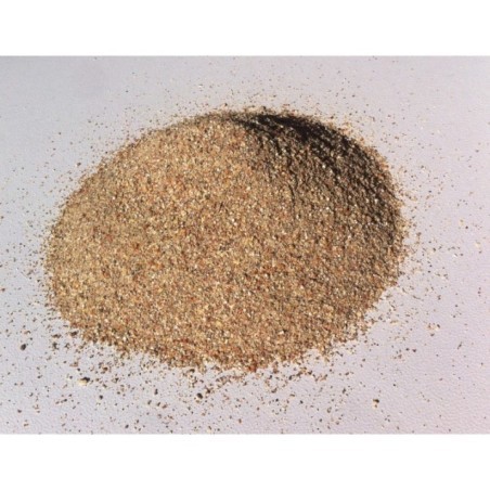 CERDOS ENGORDA PAY LEAN